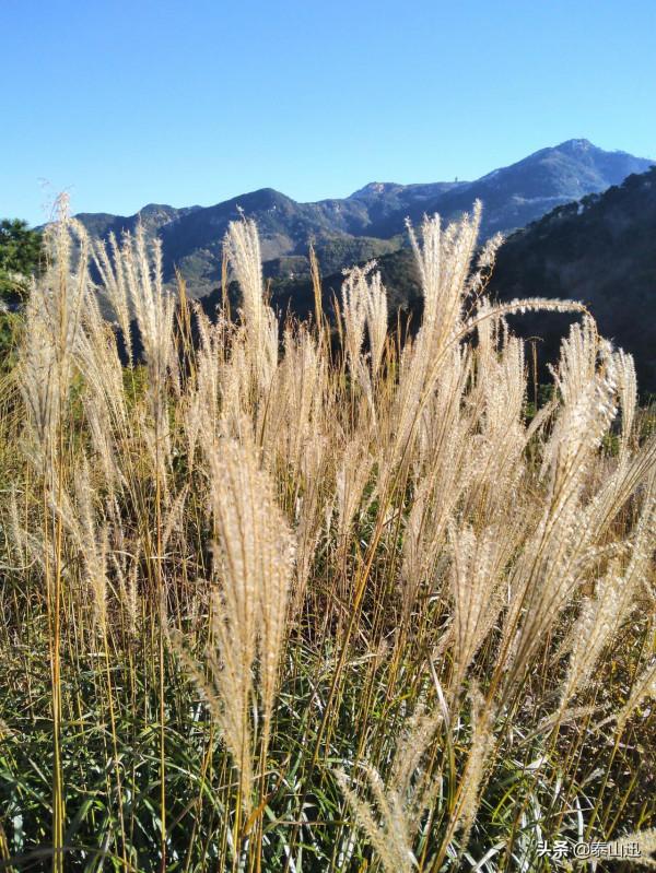 獨行泰山之走三梁