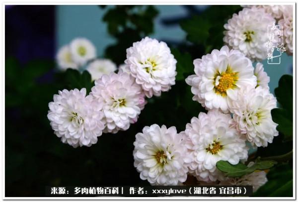 時光匆匆，一閃而逝，這世間萬物的美，都值得被記錄