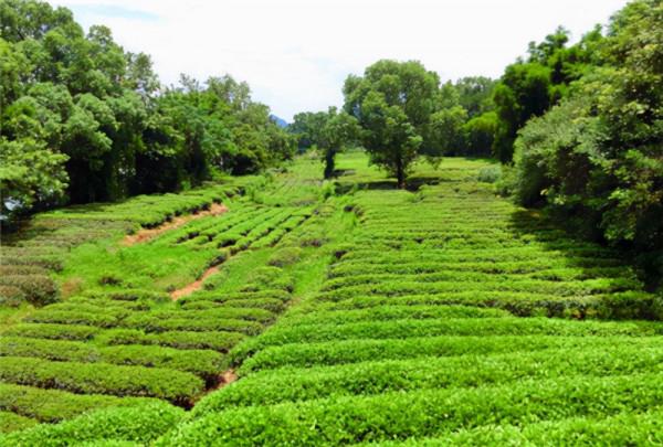 最恐怖的村莊,因為一個富婆的到來,100多名婦女集體謀殺丈夫 最恐怖的村莊,因為一個富婆的到來,100多名婦女集體謀殺丈夫
