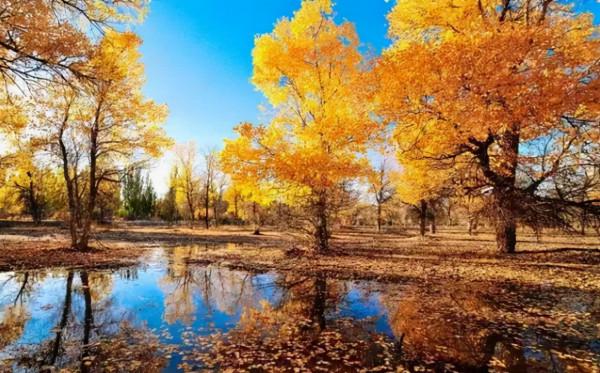 秋天旅遊，這9個景點千萬不要錯過