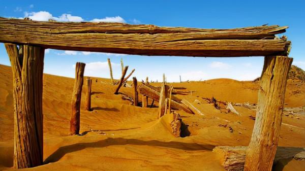 你想要來的新疆2022年是這樣的