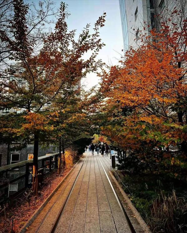 全球十大社群讓生活酷起來