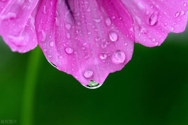 “英雄難過美人關”其實還有下半句，合在一起才更經典，更完美