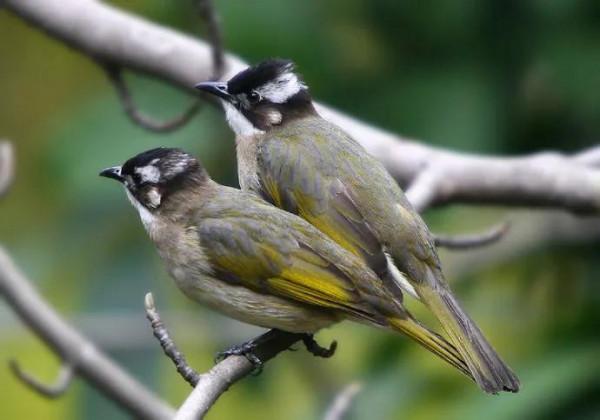 死的不明不白,到底是誰殺了他? 死的不明不白,到底是誰殺了他?