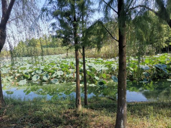 今天好冷&gt;_&lt;&gt;_&lt;好冷