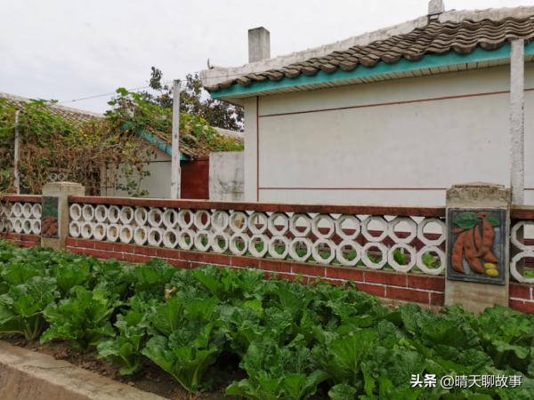 來到朝鮮的農莊,當地人的飲食起居,真讓我們羨慕 來到朝鮮的農莊,當地人的飲食起居,真讓我們羨慕