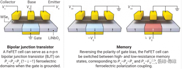 Science:二維材料助力類腦晶片 Science:二維材料助力類腦晶片
