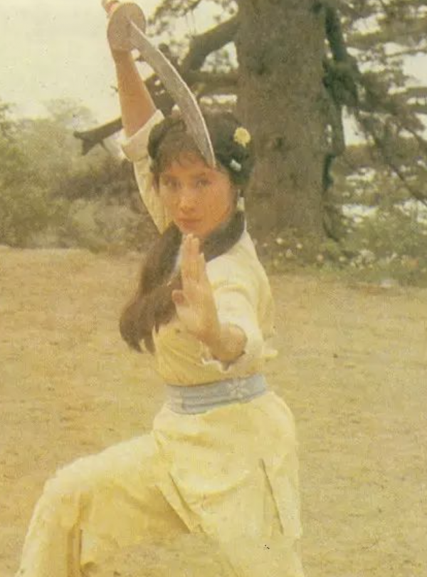 憑《少林寺》走紅&comma;嫁外國富商棄演從商&comma;&OpenCurlyDoubleQuote;牧羊女&rdquo;丁嵐如今怎樣了