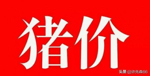 生豬價格已落成“一地豬毛”，豬價上漲已成“痴心妄想”