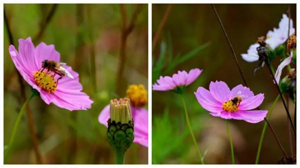 離退休幹部詩詞作品 離退休幹部詩詞作品