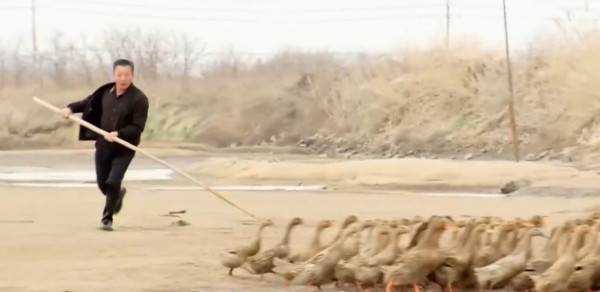 山東破爛王改行賣海參,一年銷售額8000多萬,帶動50戶養殖戶致富 山東破爛王改行賣海參,一年銷售額8000多萬,帶動50戶養殖戶致富