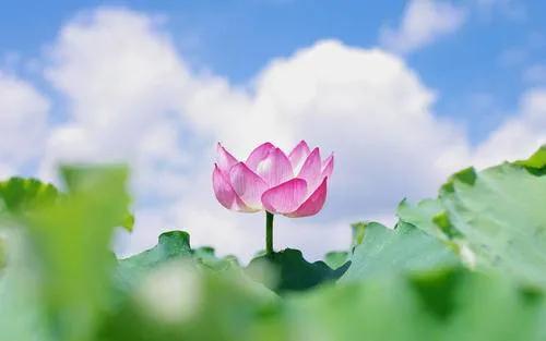 體相的秘密，雙腳代表的6大含義你都知道嗎？