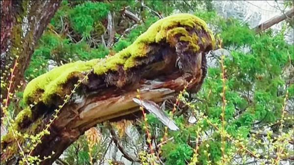 南伊溝，不枉此行