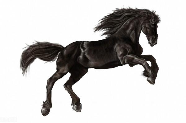 十二生肖《馬》的來歷故事