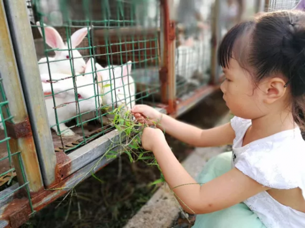 為什麼給娃報了外教課後，我還要參加高階英語啟蒙？
