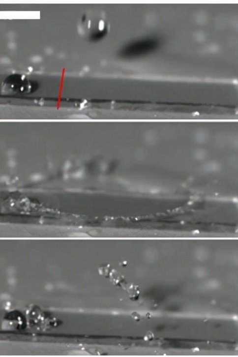 儷人創客 |雲創自清潔塗層——玻璃自明淨 科技助環保