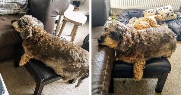 22 張可愛的動物照片,一看就很喜歡的那種 22 張可愛的動物照片,一看就很喜歡的那種