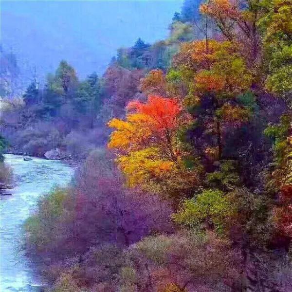 秋韻•和政松鳴巖 一幅大寫意的水彩畫