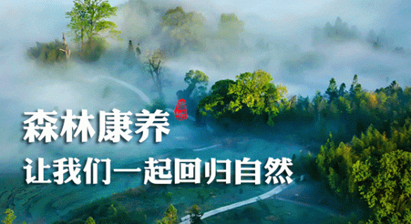 2022年應徵報名常見問答