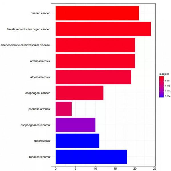 其實,非腫瘤純生信可以這樣進行創新發表 其實,非腫瘤純生信可以這樣進行創新發表