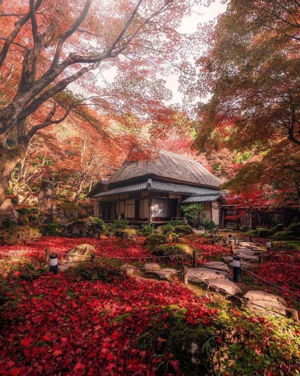 領略風景如畫的日本風光