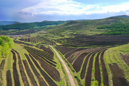 河北張家口:六月的草原天路 河北張家口:六月的草原天路