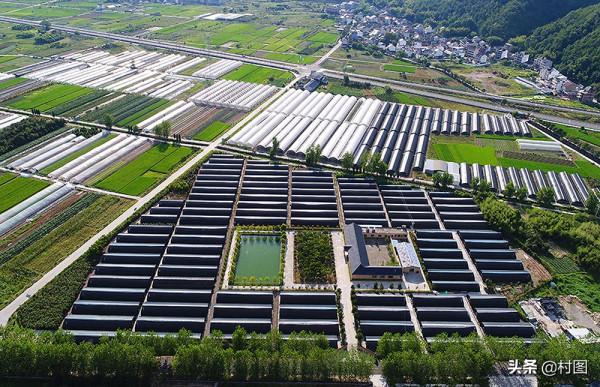 2021年，村莊建設迎來2個“好訊息”，和生活息息相關，怎麼回事