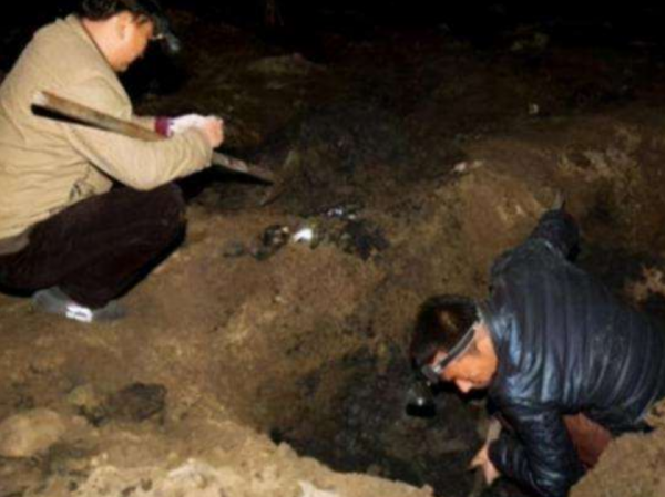 張獻忠多有錢？專家動用20臺抽水機挖掘，寶藏數量亞洲排行第一