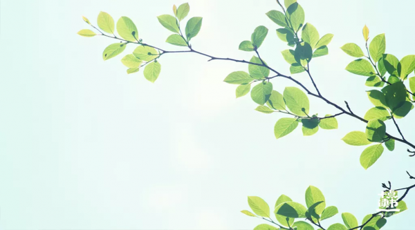 一個人對親人暴躁,對外人和氣,原因是? 一個人對親人暴躁,對外人和氣,原因是?