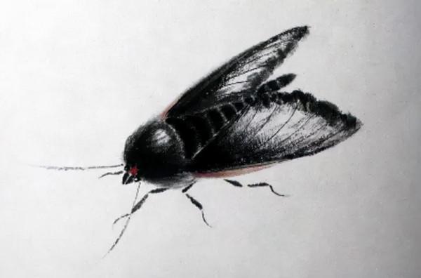 齊白石筆下的飛蟲,精細之極 齊白石筆下的飛蟲,精細之極