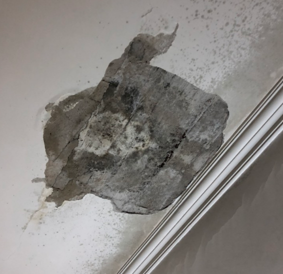 曾經風靡全國的預製板,為何現在不讓用了?4大缺點,農民不敢用 曾經風靡全國的預製板,為何現在不讓用了?4大缺點,農民不敢用