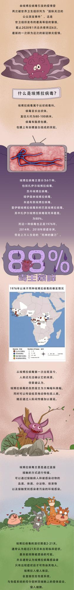 “人命黑板擦”——埃博拉丨微生物的那些事兒
