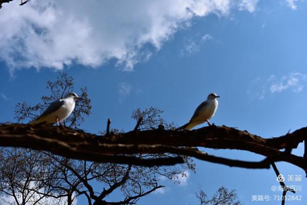 祖國處處是風景,太美 祖國處處是風景,太美