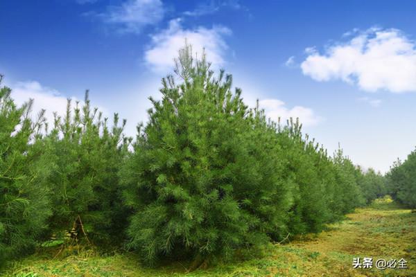 申請農業補貼找哪些部門管用？記住這4個補貼管理部門