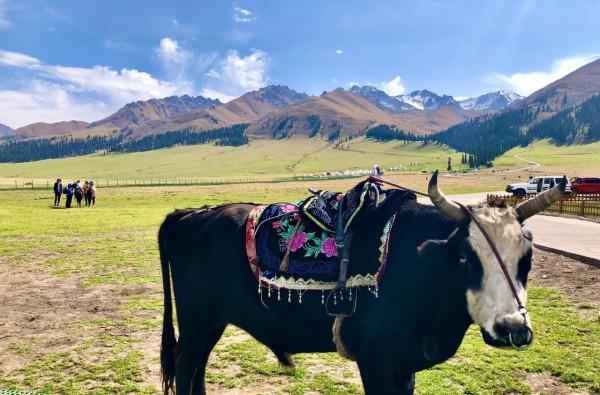 盤點新疆北疆旅遊十大必去景點（5）：東方小瑞士-那拉提草原