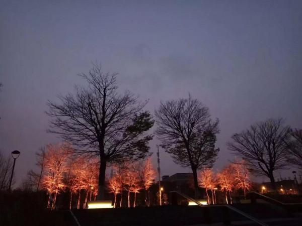 夜色龍子湖，燈火耀蒼穹。亦真亦幻