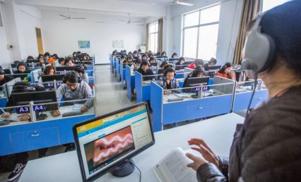 雙減政策之後，師範生選專業更需謹慎，這5個方向市場不易飽和