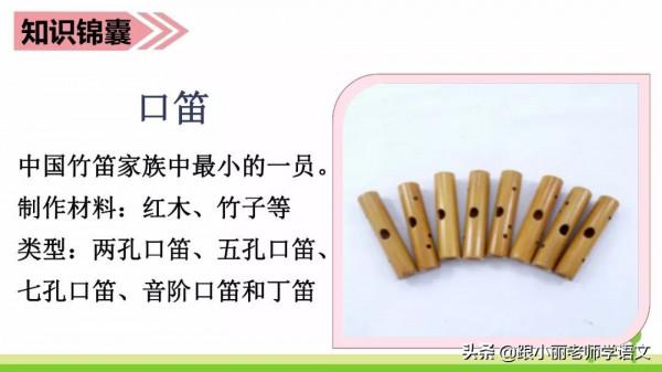 趕緊替孩子儲存，複習一定用得上，三上《花的學校》知識點梳理