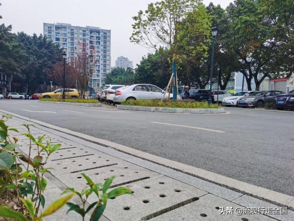 只是逛個公園，沒想卻有這麼多景點，看到臘梅確實讓人格外驚喜