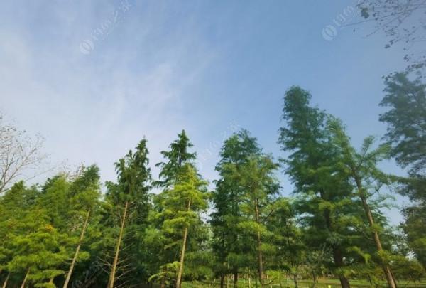 廢黃河是徹底廢的了