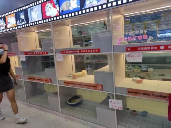 去新疆旅遊的第一天和第七天