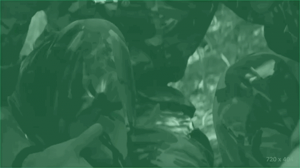 零片酬的林家棟這次“殺瘋了”，香港電影要靠他“熬下去！”