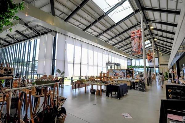 「日本」九州中部久留米-熊本-天草四日之旅