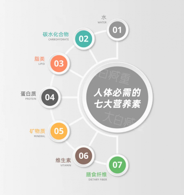 長胖,到底跟哪些營養素有關? 長胖,到底跟哪些營養素有關?