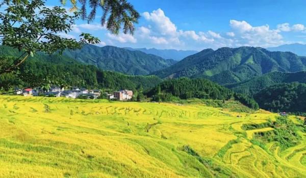 廣東絕美的秋色,都藏在了這4個小眾景點裡 廣東絕美的秋色,都藏在了這4個小眾景點裡