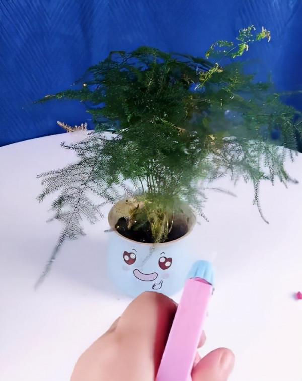 養花就怕招蟲子，教你幾招全滅掉