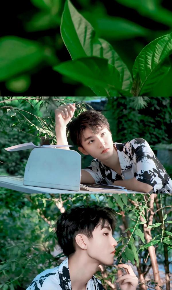 王俊凱 盛夏光年