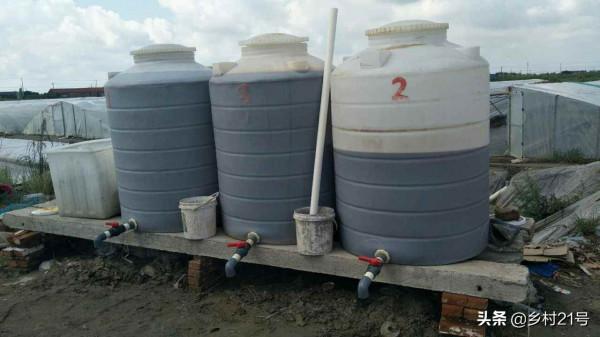 在農業中，紅糖的用法你知道多少，學會三種方法，生根壯苗