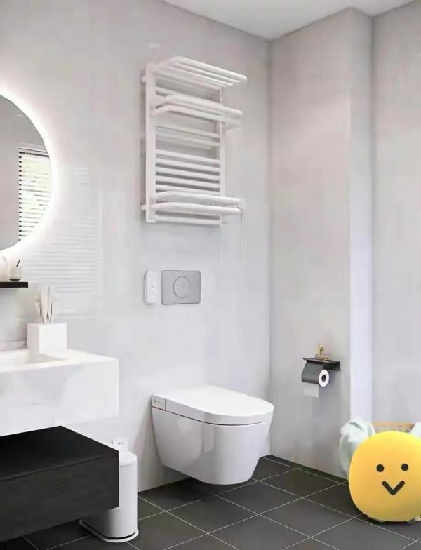 廣東一戶人家的衛生間，設計太精巧了，簡潔又時尚，太好打理了