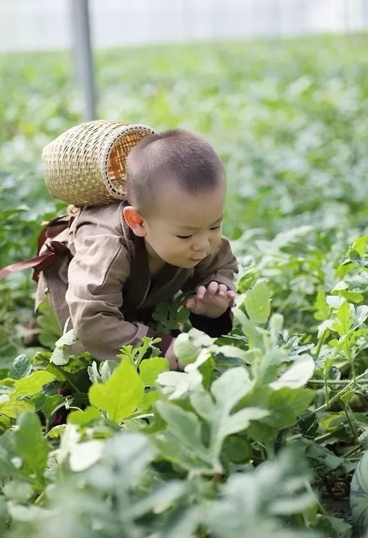 改造鄉間小院，體驗鄉間的田園情